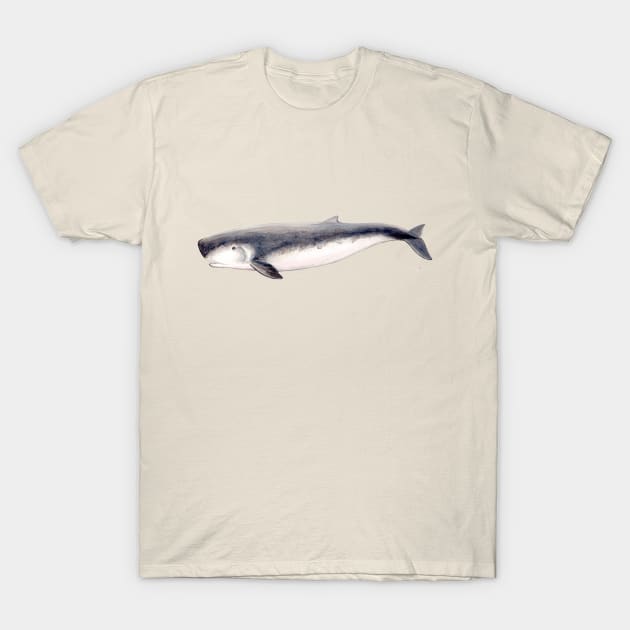 Pygmy sperm whale T-Shirt by chloeyzoard